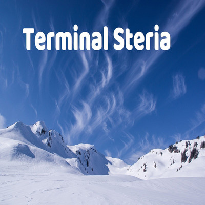 アルバム/Terminal Steria/Pain associate sound