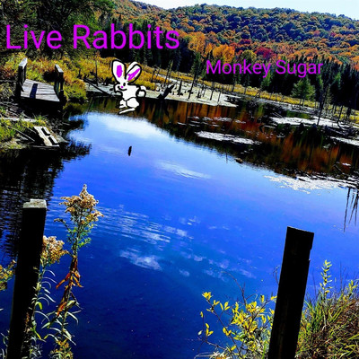 Live Rabbits/Monkey Sugar