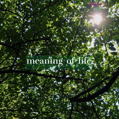 シングル/meaning of life/YUKA