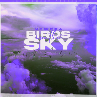 Birds In The Sky (Tays & Charva Boys Remix)/NewEra