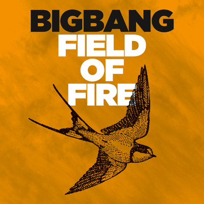 シングル/Field Of Fire/Bigbang
