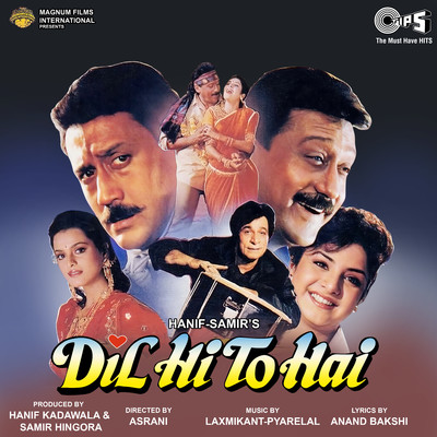 アルバム/Dil Hi To Hai (Original Motion Picture Soundtrack)/Laxmikant-Pyarelal