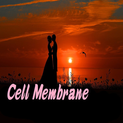 アルバム/Cell Membrane/Agnosia fact