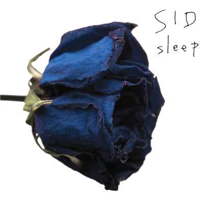 アルバム/sleep/シド