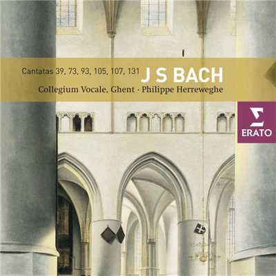 アルバム/Bach: Cantatas, BWV 39, 73, 93, 105, 107 & 131/Philippe Herreweghe