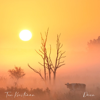 Dawn/Tom Kristiaan