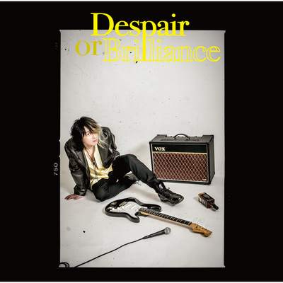 アルバム/Despair or Brilliance/ヨシケン