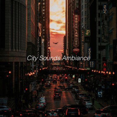 Sleep in the Big City/Sounds of Nature Noise