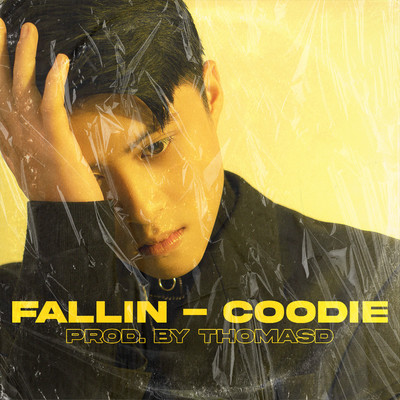 Fallin/Coodie
