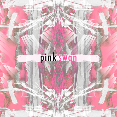 シングル/Our House/Pink Swan