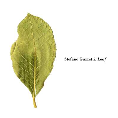 Leaf/Stefano Guzzetti