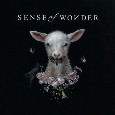 Sense of Wonder/SENSE of WONDER