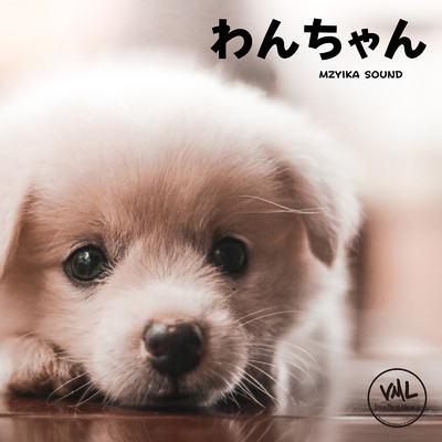 アルバム/わんちゃん/Mzyika Sound