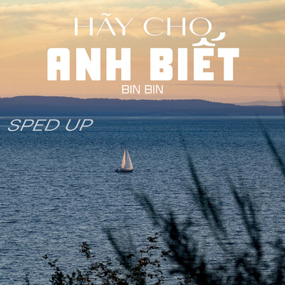 シングル/Hay Cho Anh Biet (Trngz Remix) [Sped Up]/Bin Bin