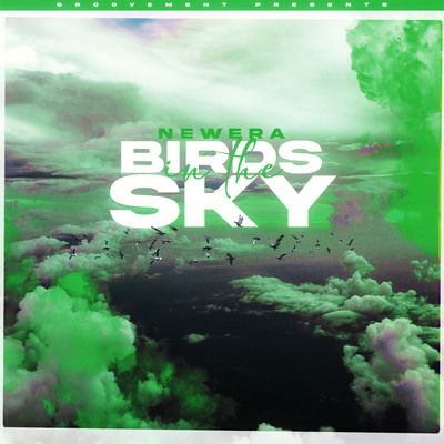 Birds In The Sky (Sam Green Remix)/NewEra & Sam Green