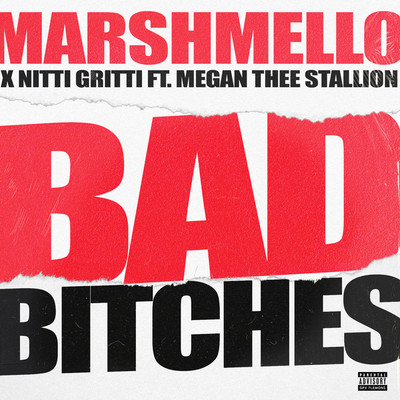 シングル/Bad Bitches (feat. Megan Thee Stallion)/Marshmello, Nitti Gritti, Megan Thee Stallion
