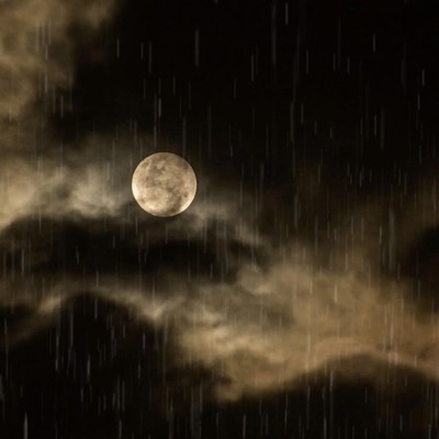 濁った月と冷たい雨/佐野十朗