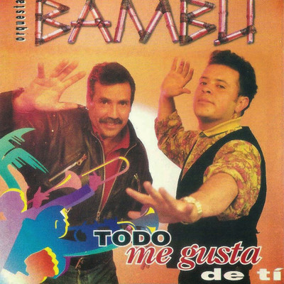 No Podre Olvidarte/Orquesta Bambu