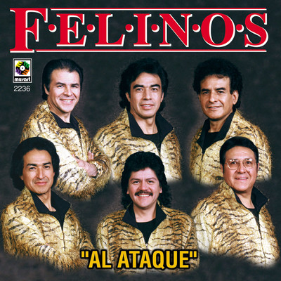 アルバム/Al Ataque/Los Felinos