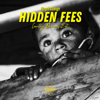 アルバム/Hidden Fees/Pimpin Change