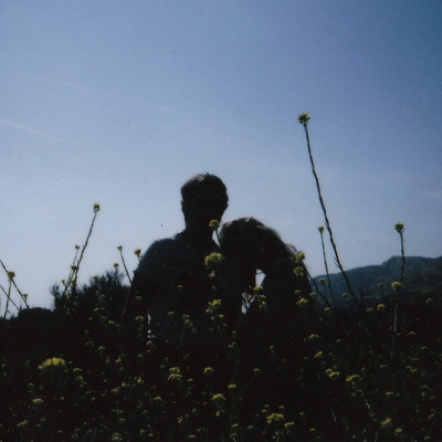 meadow/blue hours & derek ted & juliet sunflower