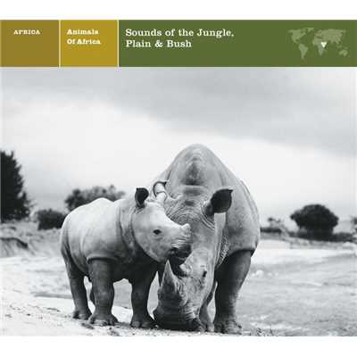 EXPLORER SERIES: AFRICA - Animals of Africa: Sounds of the Jungle, Plain & Bush/Nonesuch Explorer Series