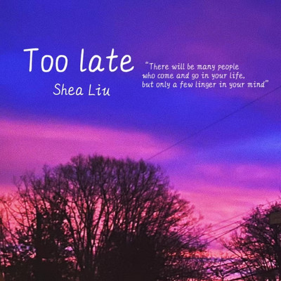 Too Late/Shea Liu