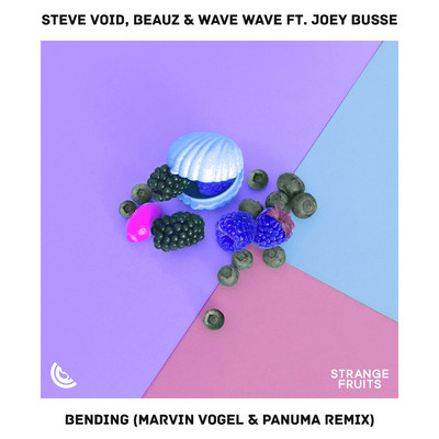 Bending (feat. Joey Busse) [Marvin Vogel & Panuma Remix]/Steve Void