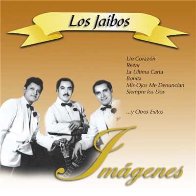 シングル/Ruego/Los Jaibos