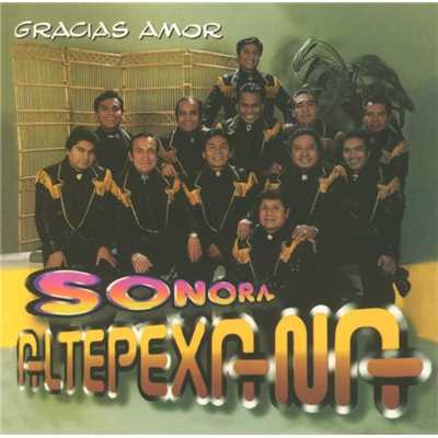 アルバム/Gracias amor/La Sonora Altepexana