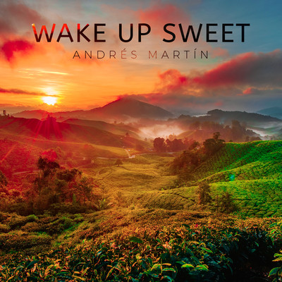 シングル/Wake Up Sweet/Andres Martin