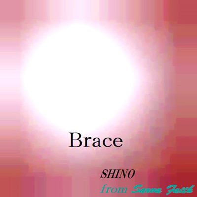 Brace/SHINO