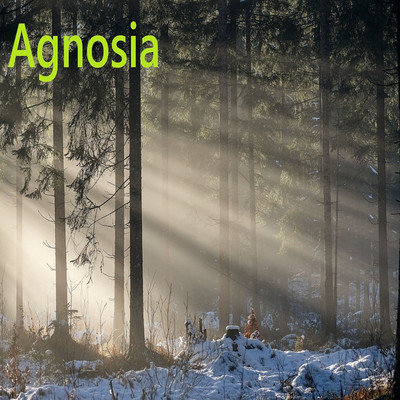 アルバム/Agnosia/Babinski age