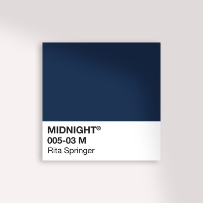 シングル/Midnight (Radio Version)/Rita Springer