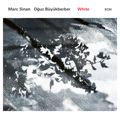 White/MARC SINAN／Oguz Buyukberber