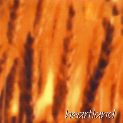 Heartland/Americana Back Road Band