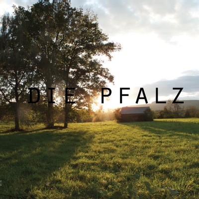 Die Pfalz/Various Artists