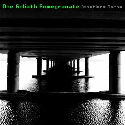 One Goliath Pomegranate/Impatiens Cocoa