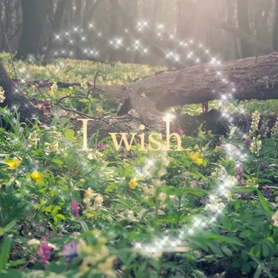 シングル/I wish ～君が君を愛せるように～/keiko