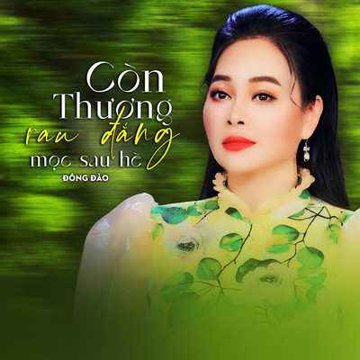 アルバム/Con Thuong Rau Dang Moc Sau He/Dong Dao