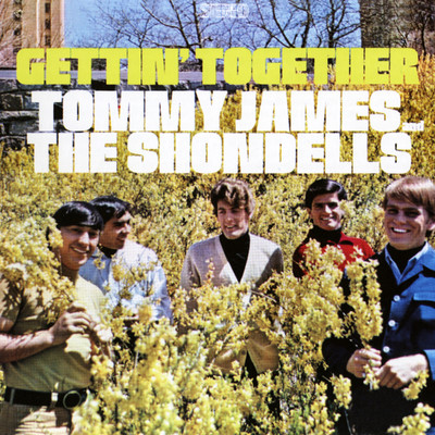 シングル/Lost in Your Eyes/Tommy James & The Shondells