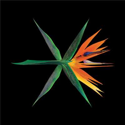 THE WAR (Chinese ver.) - The 4th Album/EXO