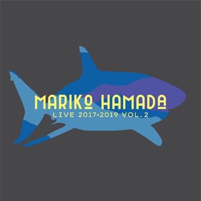 MARIKO HAMADA LIVE 2017・2019 vol.2/浜田真理子