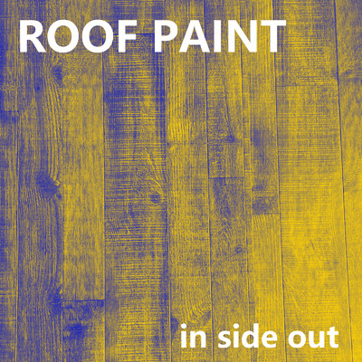 in side out/ROOF PAINT
