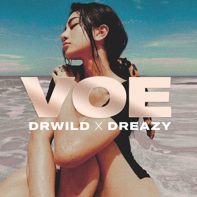 VOE/DRWILD／Dreazy
