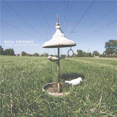 アルバム/More Acoustic Songs/Real Friends