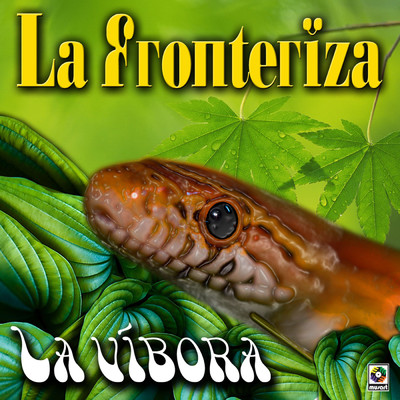 La Vibora/La Fronteriza
