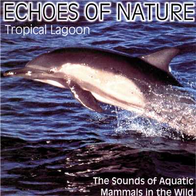Echoes of Nature: Tropic Lagoon/Delta Music