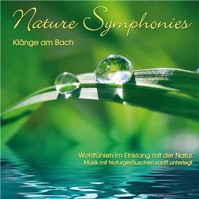 アルバム/Nature Symphonies: Klange am Bach/Dave Stern & Friends