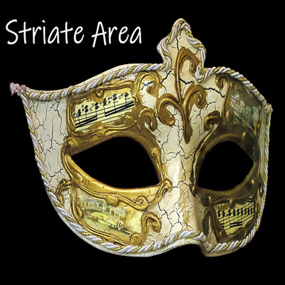 アルバム/Striate Area/Fastigial cortex